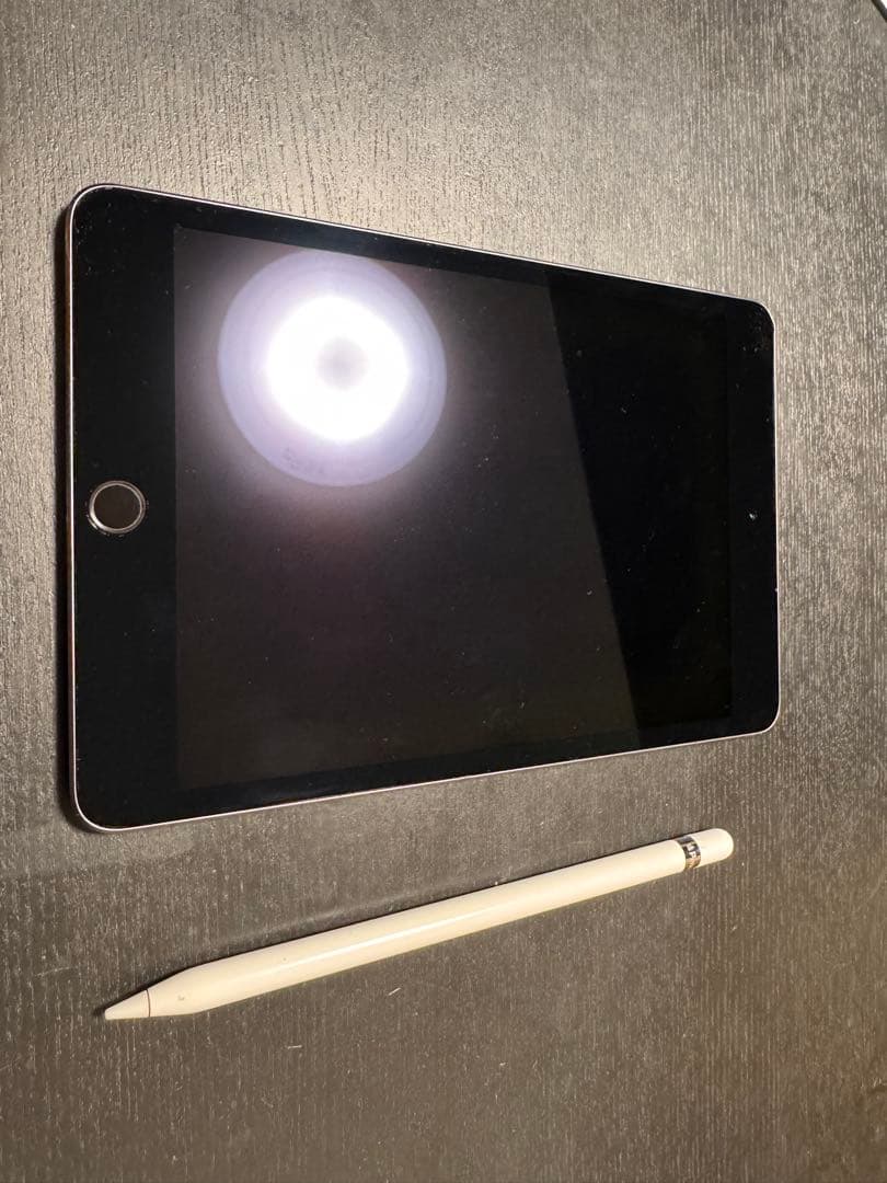 iPad mini スペースグレー 本体+対応Apple pencil iPad Apple mini 8.3型 128GB MXN63J/A スペースグレイ Wi-Fiモデル
