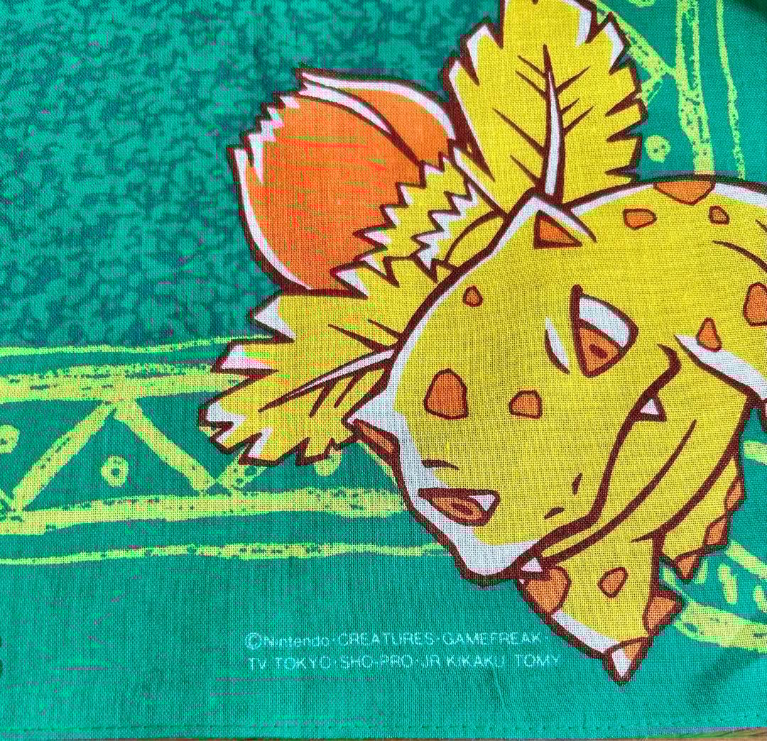 ポケモン初代 バンダナ2枚 草・じめんタイプ - メルカリ