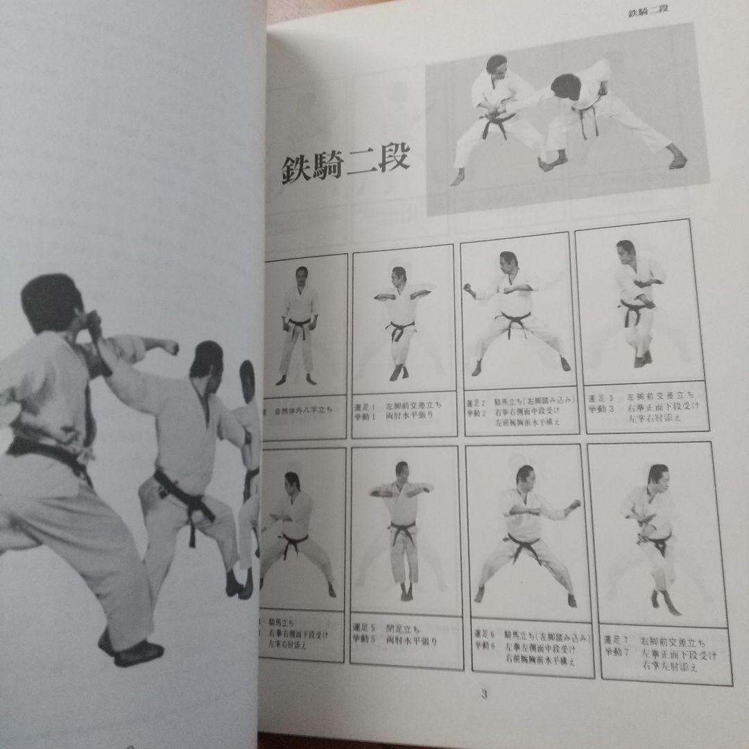 浅井哲彦 実技 空手道 選定形 空手 松濤館 拳法 武術 護身術 - メルカリ