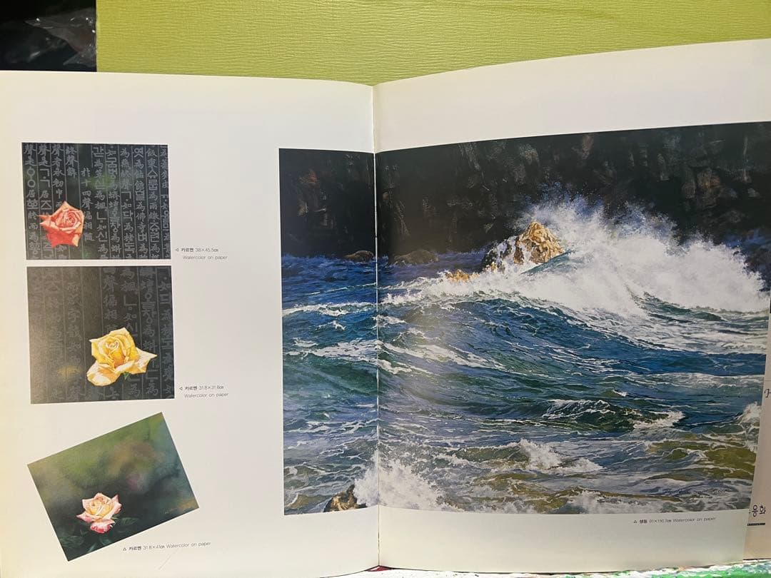 Han S am Sook 韓国女流作家、真作。 波うねる東海岸。