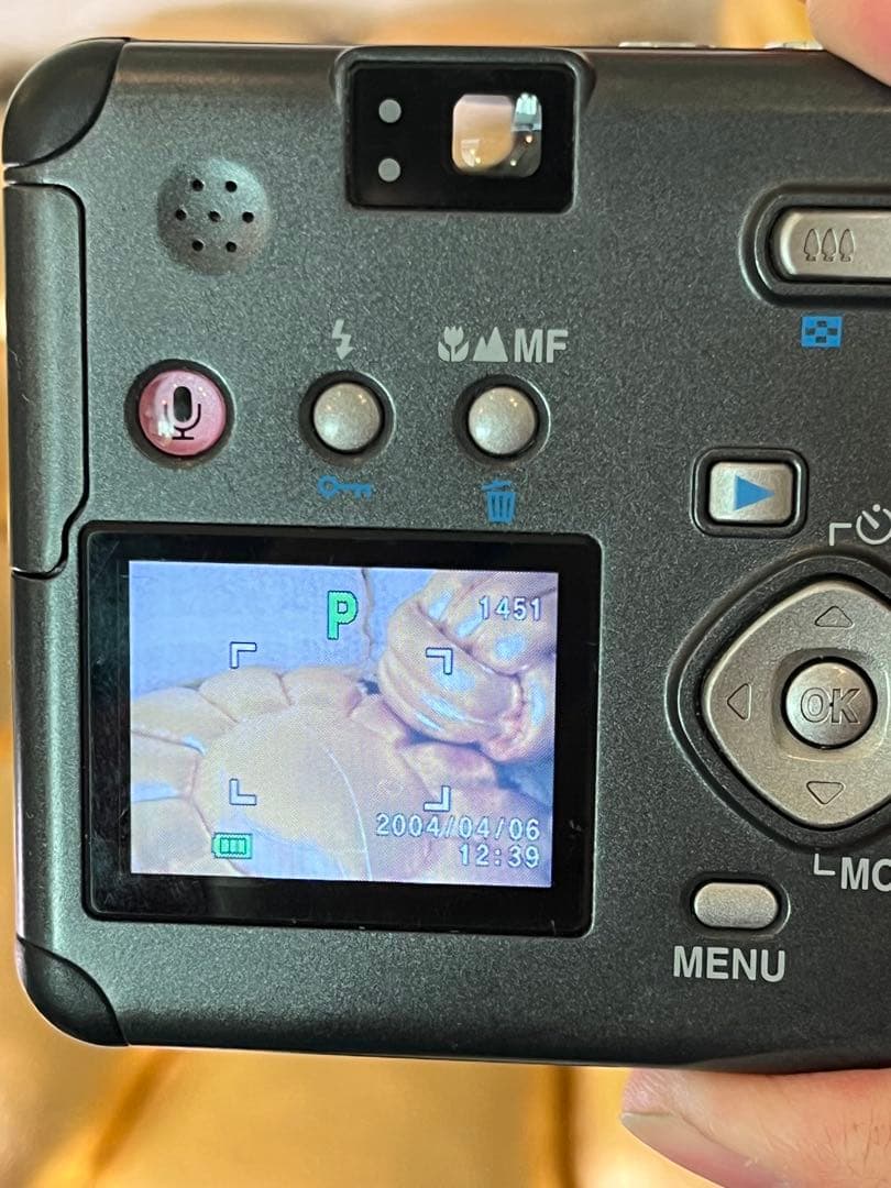 PENTAX Optio 43WR 防水デジタルカメラ 乾電池駆動 動作確認済み