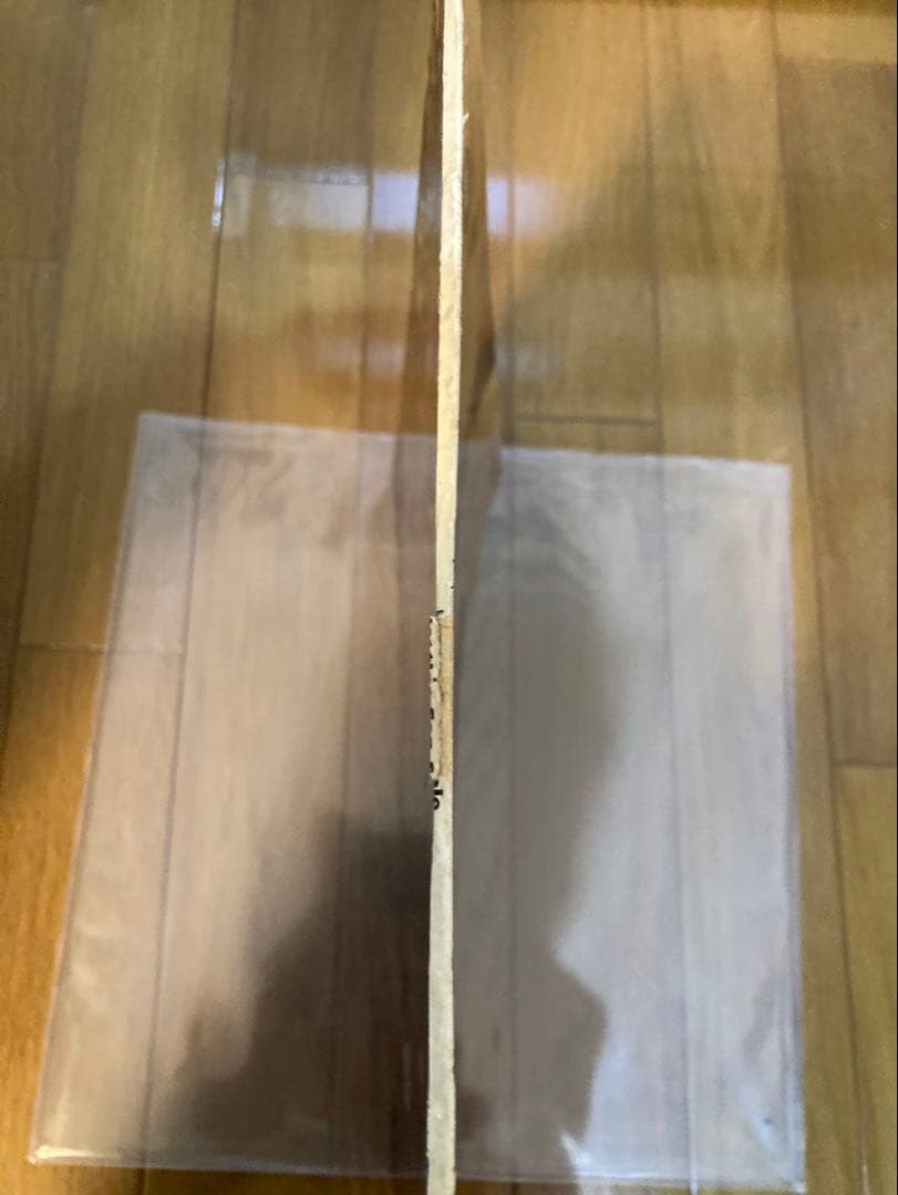 稀少2025盤Free As A BirdビートルズBeatlesレコード