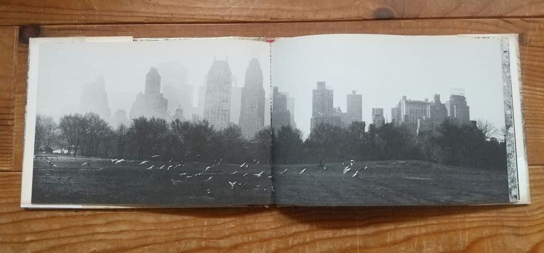 Hellen Buttfield【The Park】写真集★tamiserタミゼ