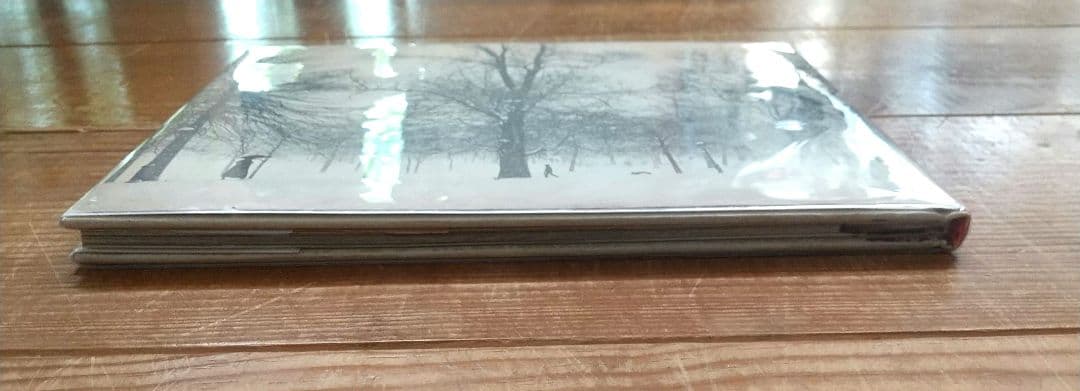 Hellen Buttfield【The Park】写真集★tamiserタミゼ