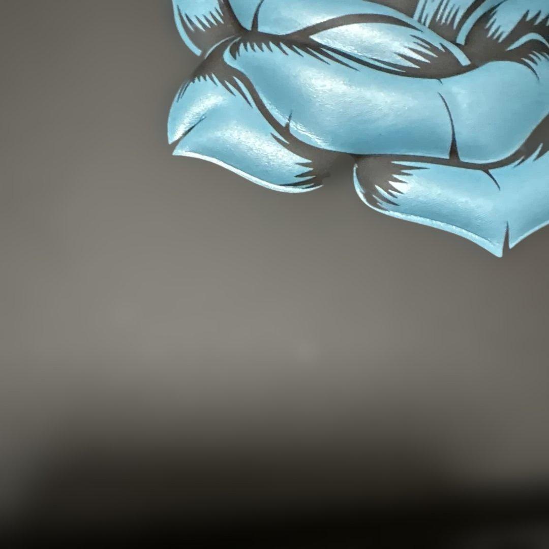 Ado よだか キラキラペンライト 収納ケース セット - メルカリ