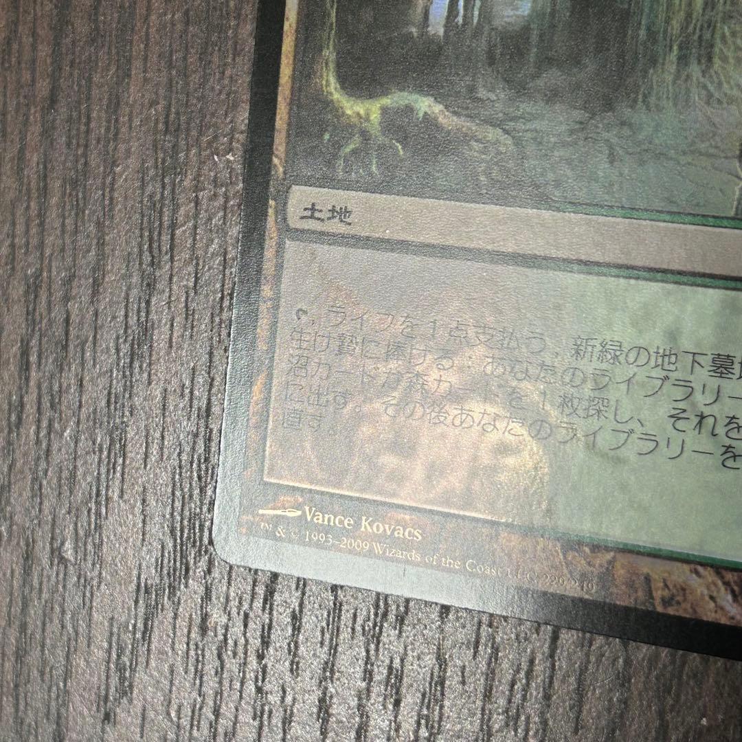 【日本語Foil】《新緑の地下墓地/Verdant Catacombs》ZEN