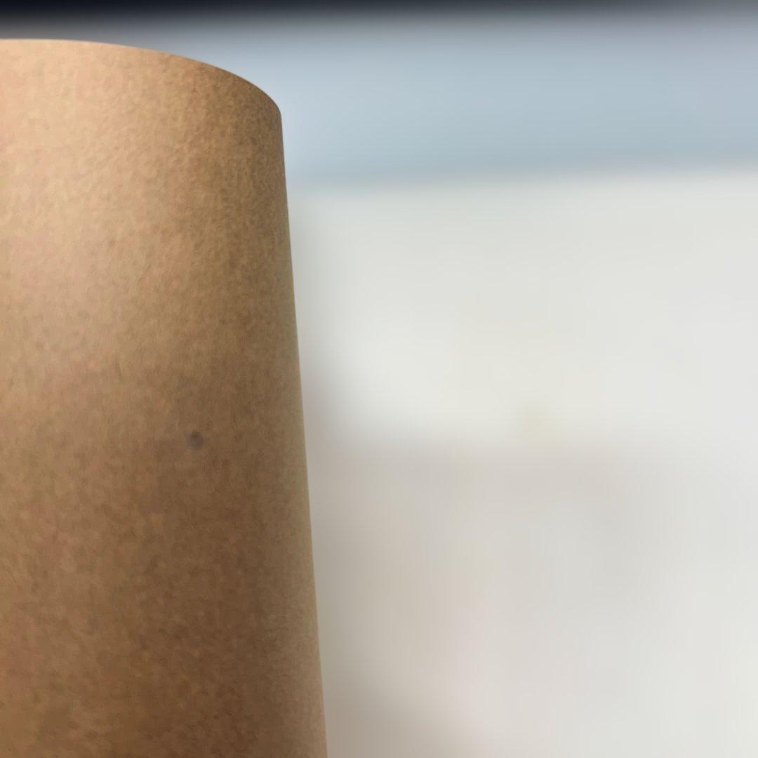 デヴィッド・ハミルトン 写真集『EROTICA VOL.I』