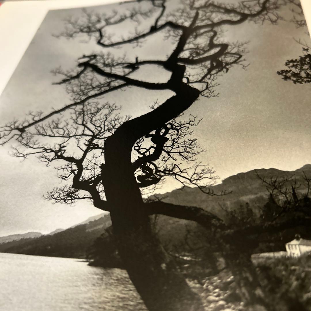 jeanloup sieff ジャンルーシーフ 写真集 - メルカリ