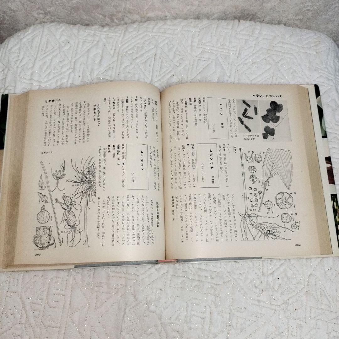 漢方と民間薬百科 大塚敬節著 　主婦の友社