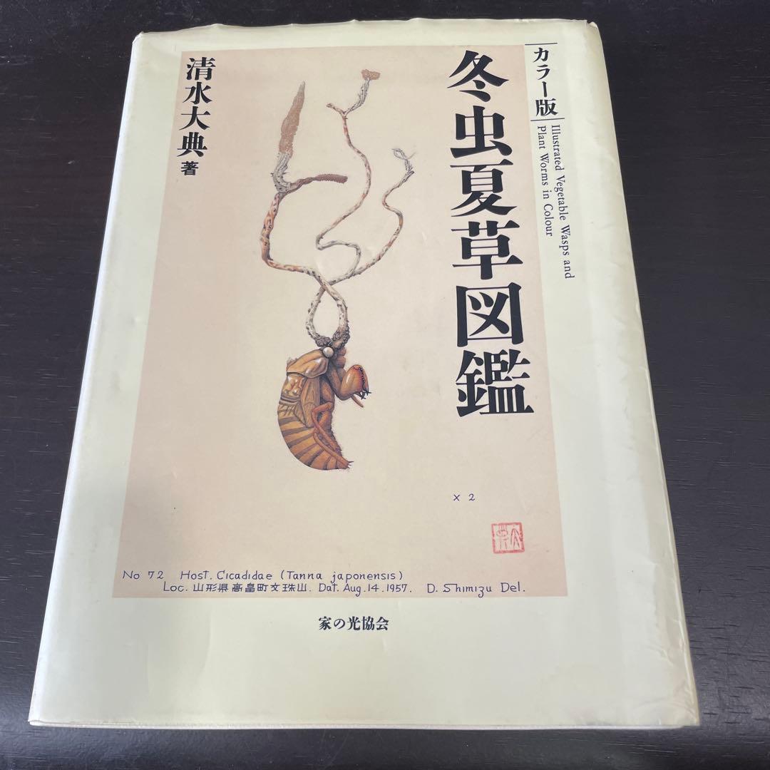 冬虫夏草図鑑 カラー版 冬虫夏草図鑑 カラー版 | 清水 大典 |本 | 通販 | Amazon