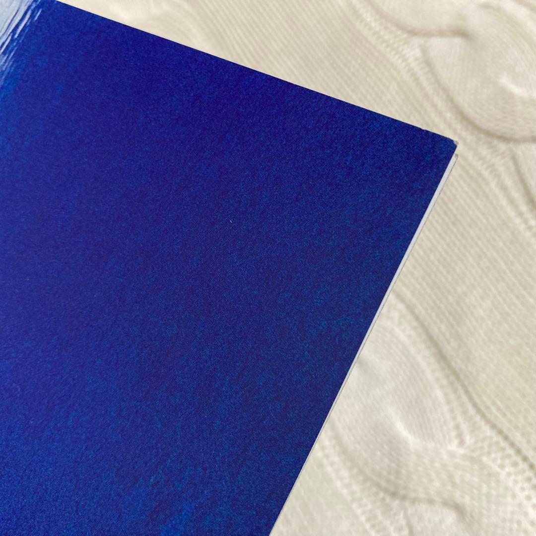 落下の王国 パンフレット 2008年 初公開時 旧版 映画 レア - メルカリ