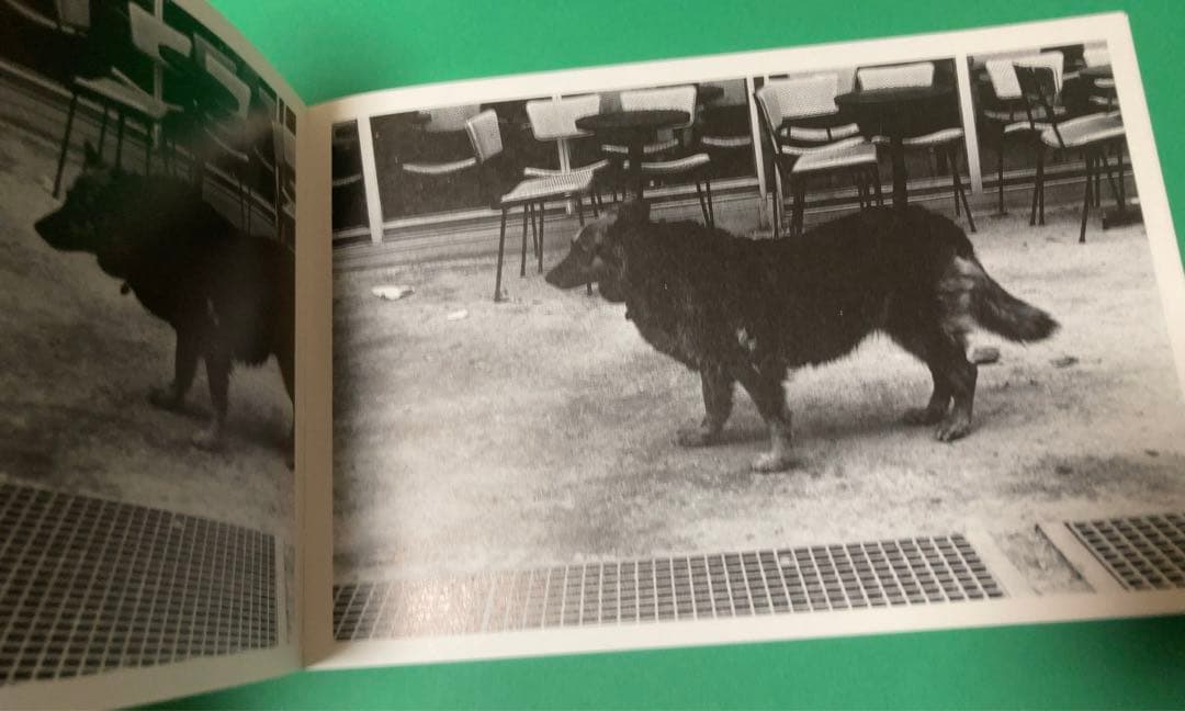 希少本 ☆ 中平卓馬 サーキュレーション 写真集 - メルカリ