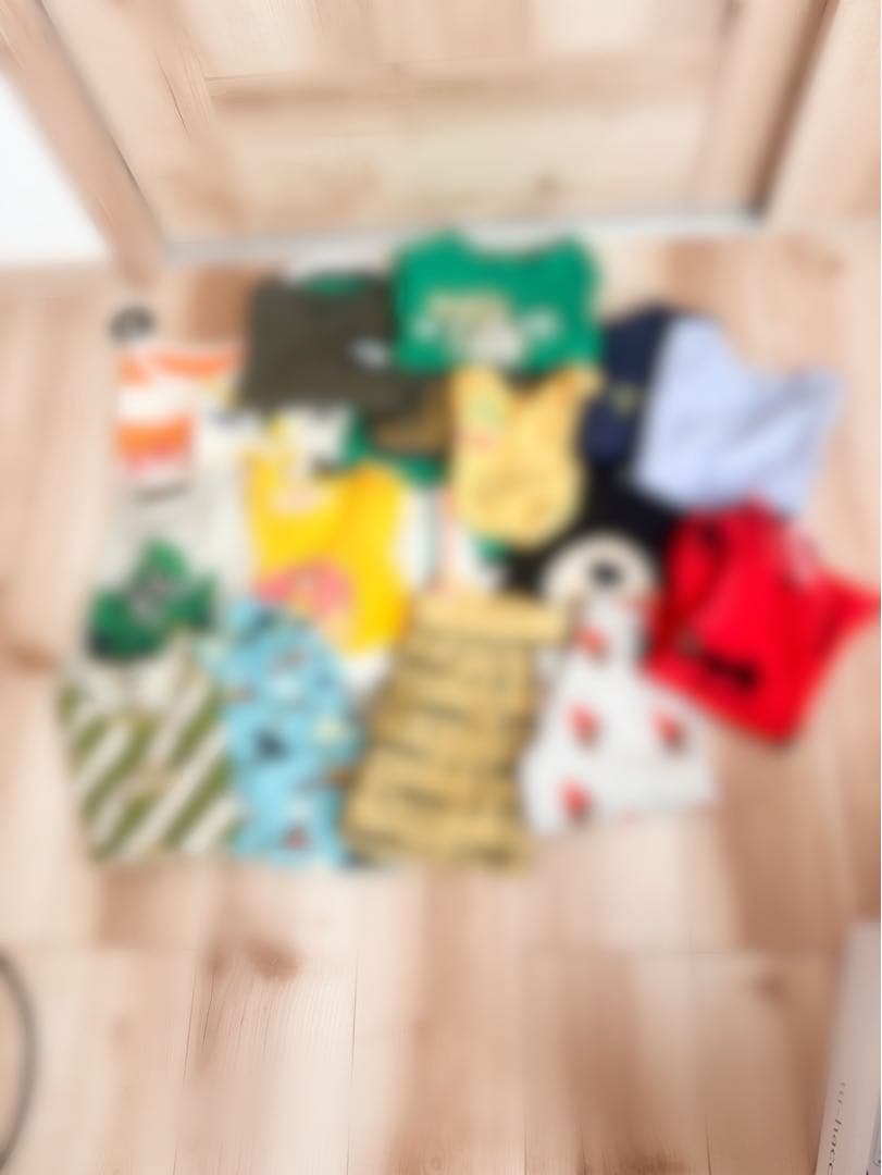 110サイズ ④ The three-phase transport polarization and structural design