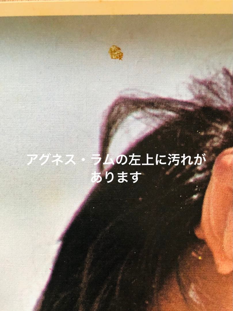 希少！妖艶美！アグネス・ラムポスター ハワイの美女！1976年大