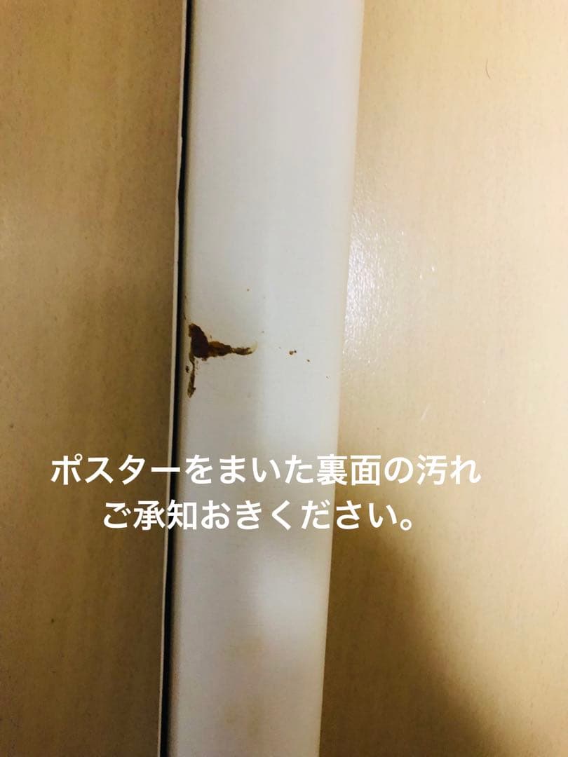 希少！妖艶美！アグネス・ラムポスター ハワイの美女！1976年大