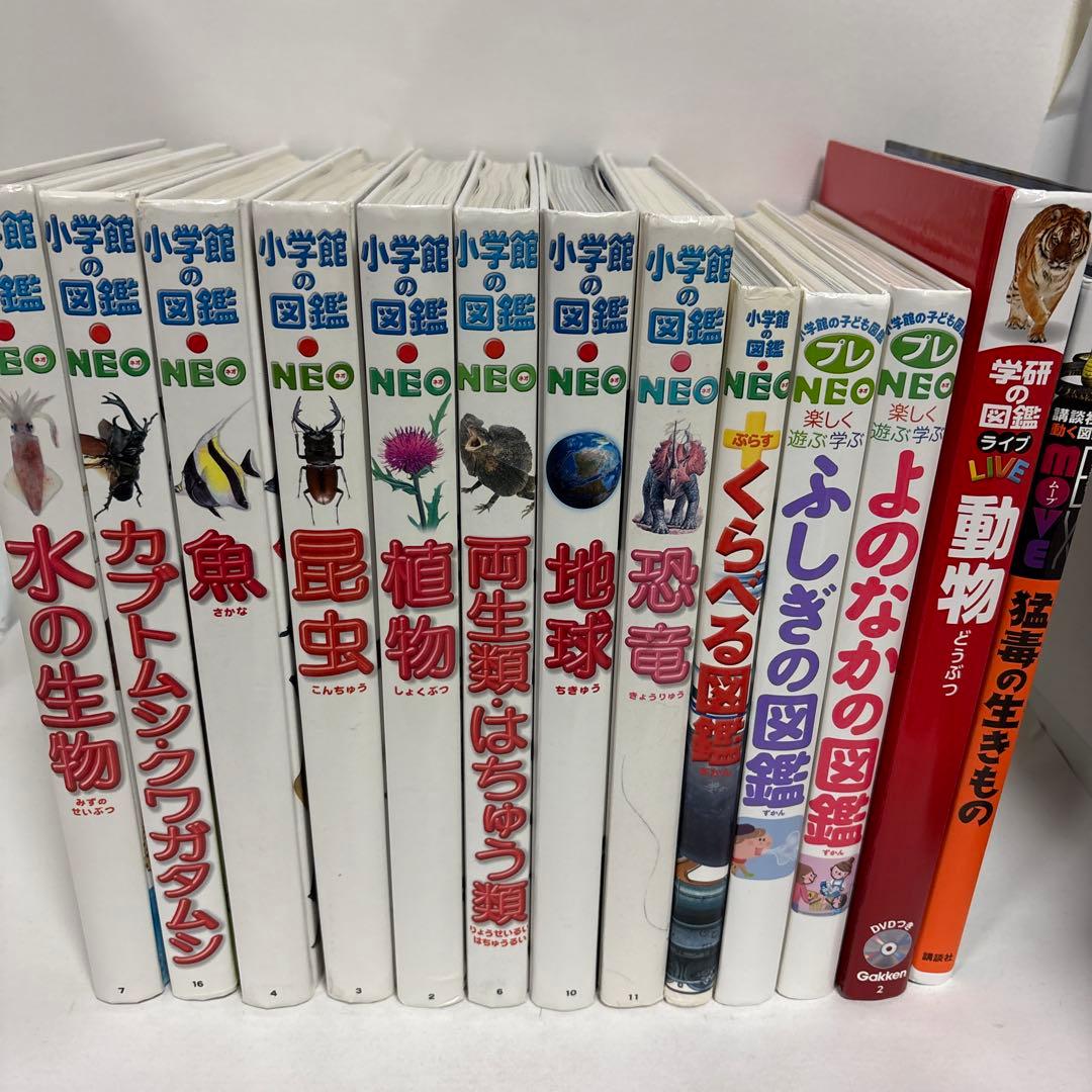 図鑑 13冊セット 図鑑neo 小学館 プレneo 特典付き - メルカリ