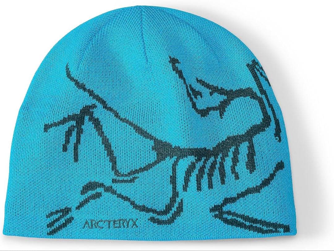 ARC'TERYX 水色ニット帽・ビーニー 確実正規品 アークテリクス ARC'TERYX Bird Head Toque Fluidity/Labyrinth