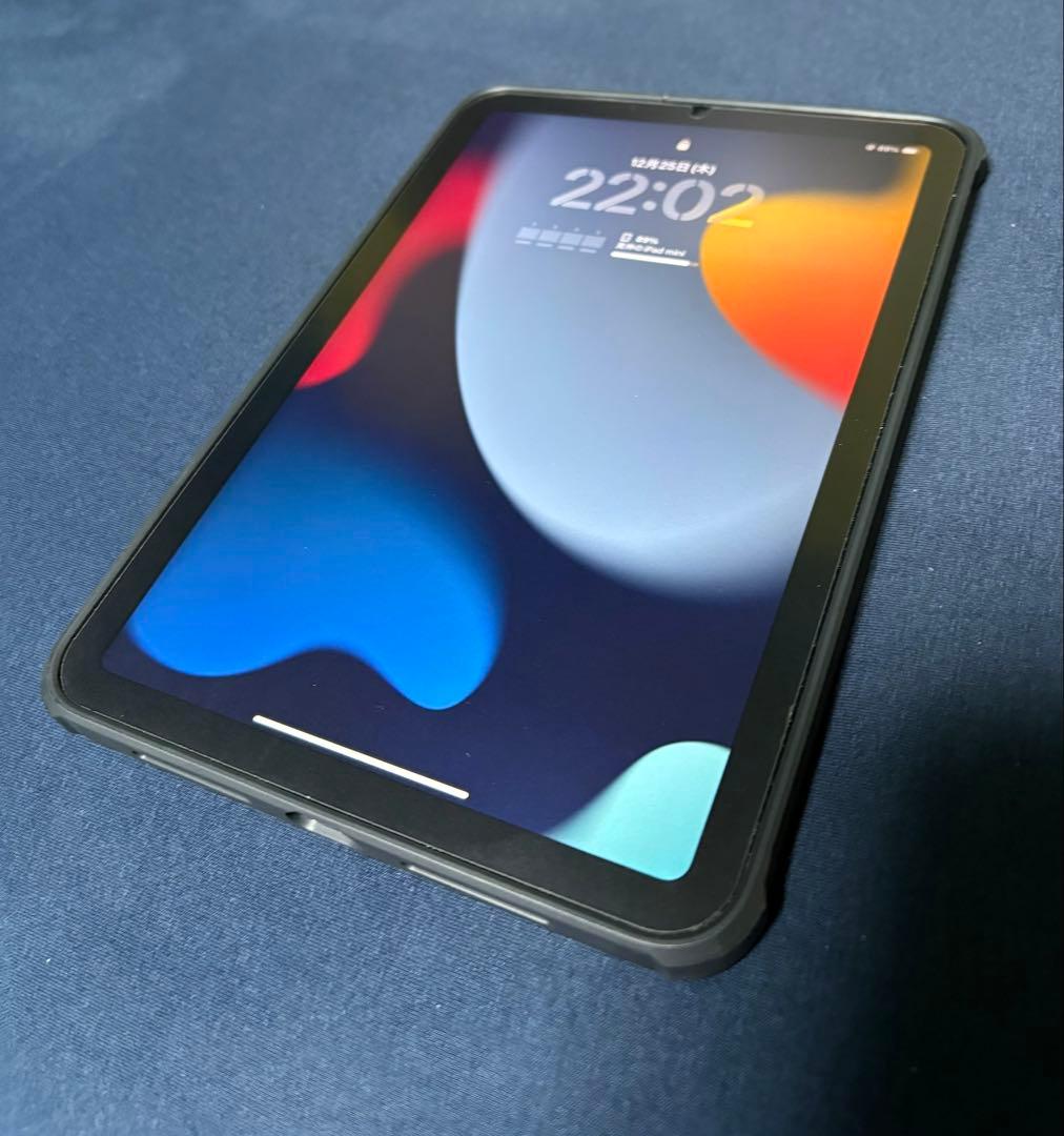 iPad mini (第7世代) アイスブルー wifi 128GB 本体 iPad mini Wi‑Fi + Cellularモデル 128GB - ブルーを購入 - Apple（日本）