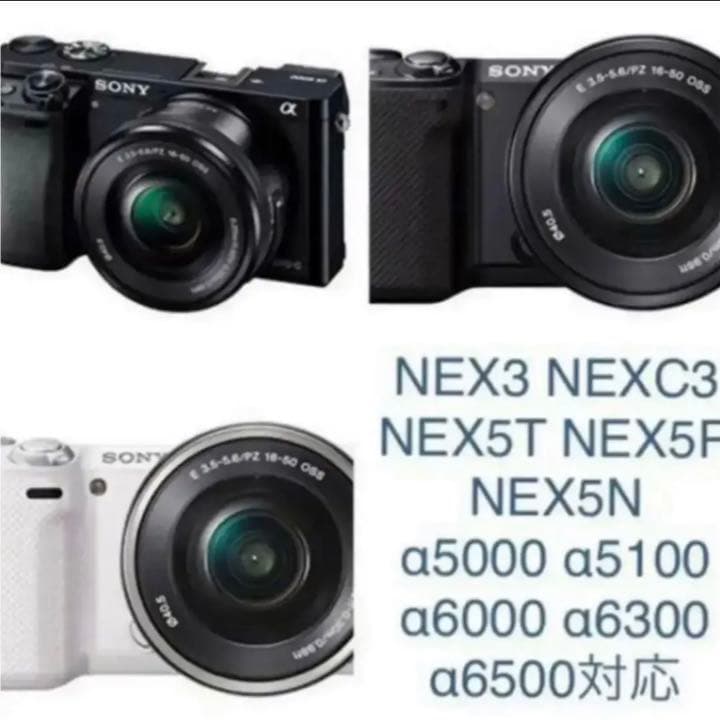 神！フィッシュアイ！心地の良いヌケ感！旅行に！風景に！特殊撮影！非日常！美品