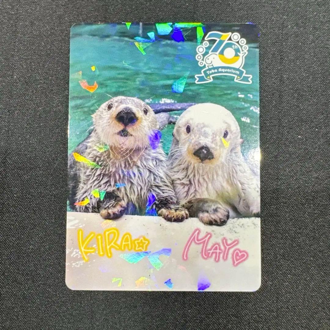 匿名配送】鳥羽水族館 70周年記念 コレクションカード レアカード メイ