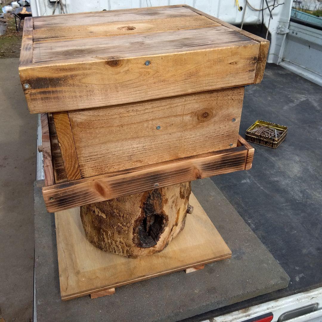 天然木 昆虫採集道具 日本みつばち誘引待ち箱のベース - メルカリ