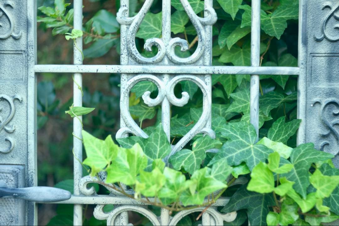 東京光学　Toko 3.5 7.5cm トリプレットの銘レンズ❗️