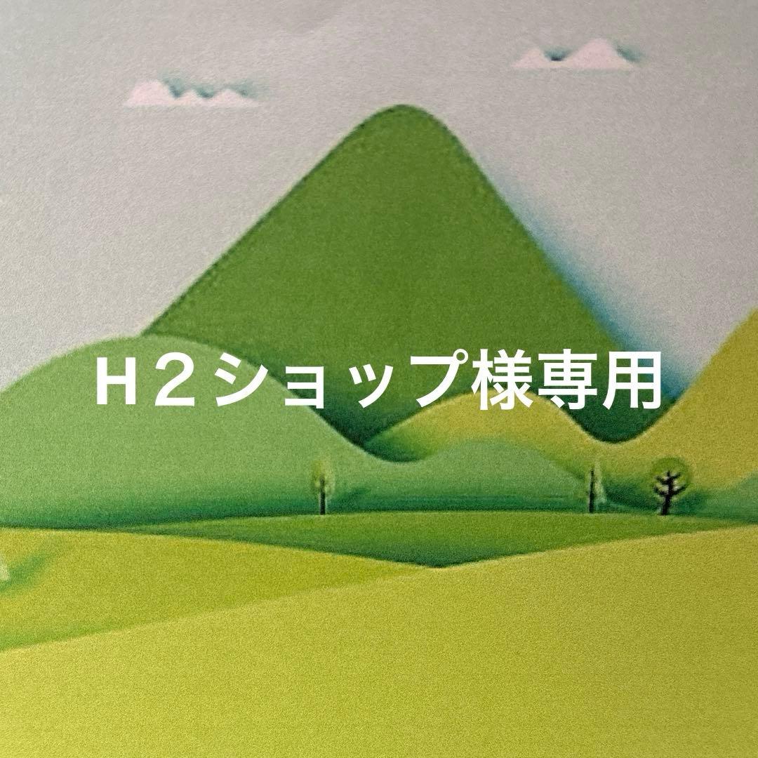 H２ショップ　ガラス細工　ミニチュア ガラス細工｜アオウミガメ｜フォーカートグラスワークスガラス