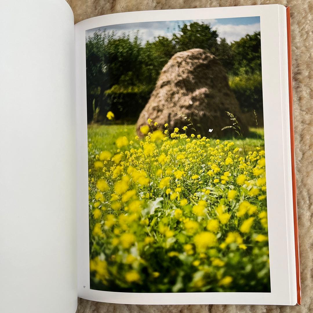 Terri Weifenbach 写真集