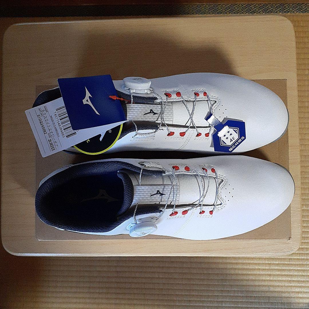 シューズ(男性用) Mizuno Golf nexlite Energy BOA 26.0cm