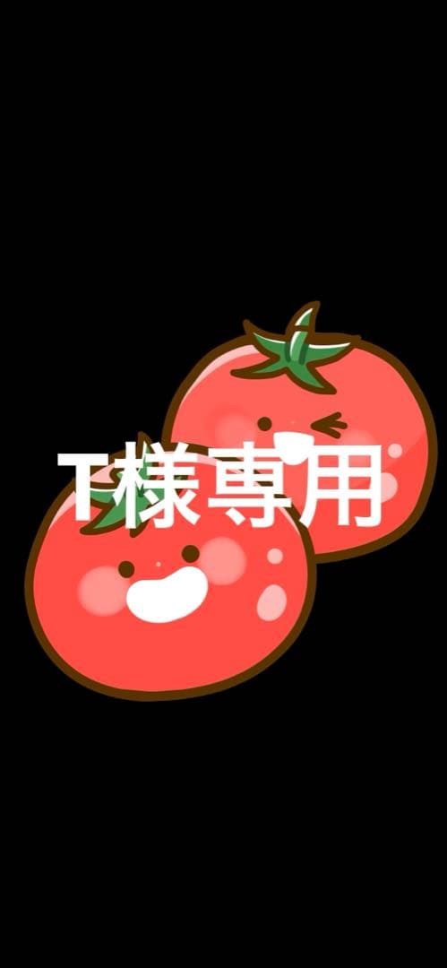 【T】③添加剤セット。 taroshop_wakos-diesel1-3