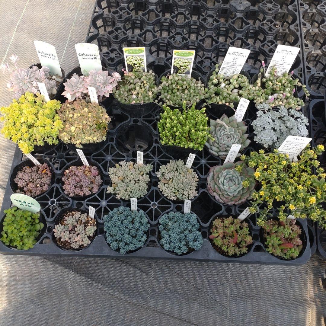 午前着 ☆Yuさん専用