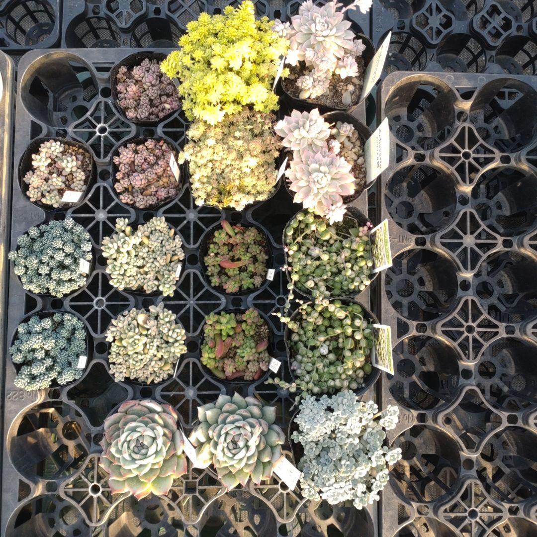 午前着 ☆Yuさん専用