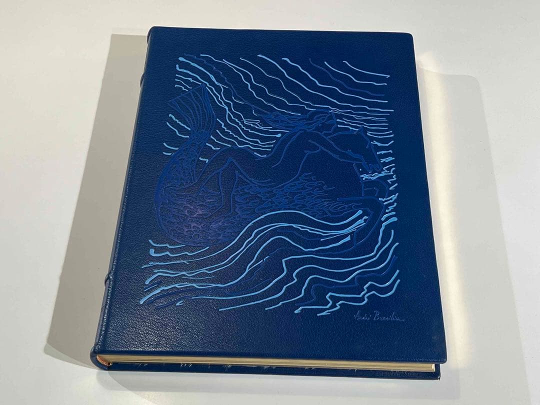 洋書 NATURA NOSTRA 限380 ブラジリエ画 革装幀 三方金 洋書 NATURA NOSTRA 限380 ブラジリエ画 革装幀 三方金 - メルカリ