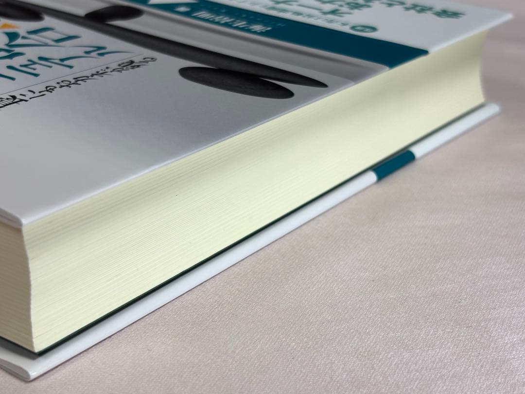 公私混合経営マニュアル 会社にも社長にもおカネが残る 海生裕明／著