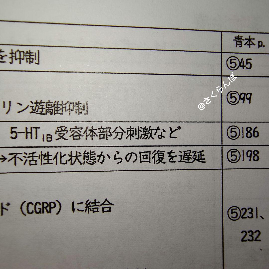 薬ゼミ 2025青本凝縮教科書 111回〜受験生 予備校生 直前講習 未使用も