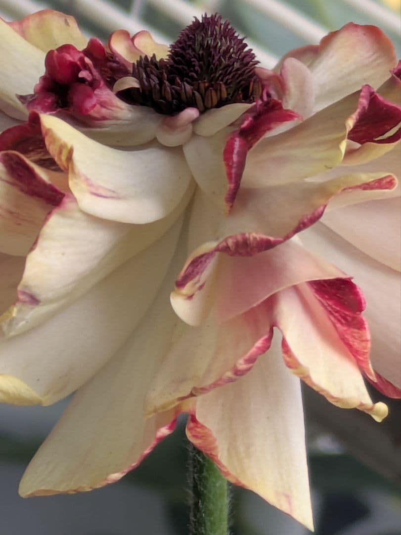 ♡みあり様♡13周年感謝価格✨✨