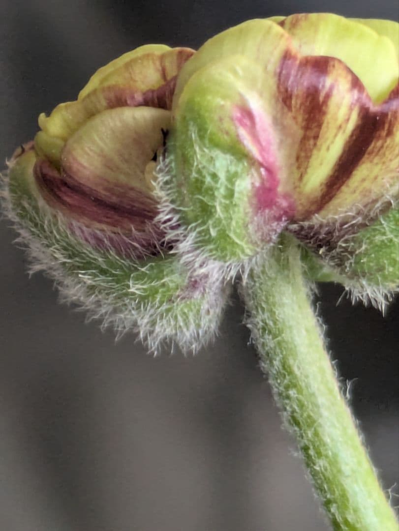 ♡みあり様♡13周年感謝価格✨✨