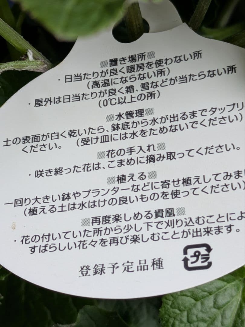 ♡みあり様♡13周年感謝価格✨✨