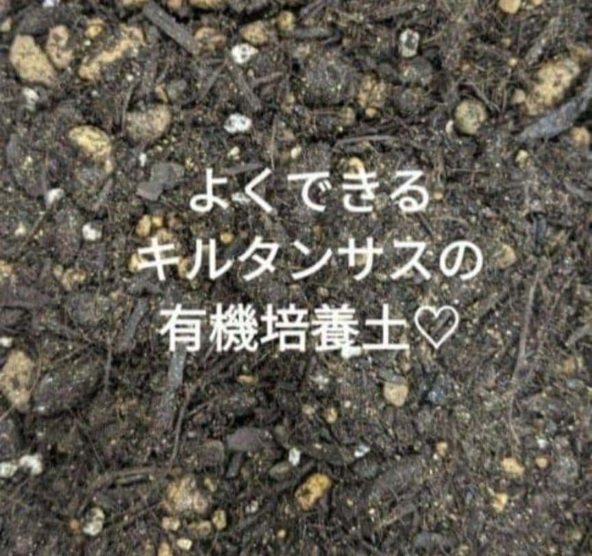 ♡みあり様♡13周年感謝価格✨✨