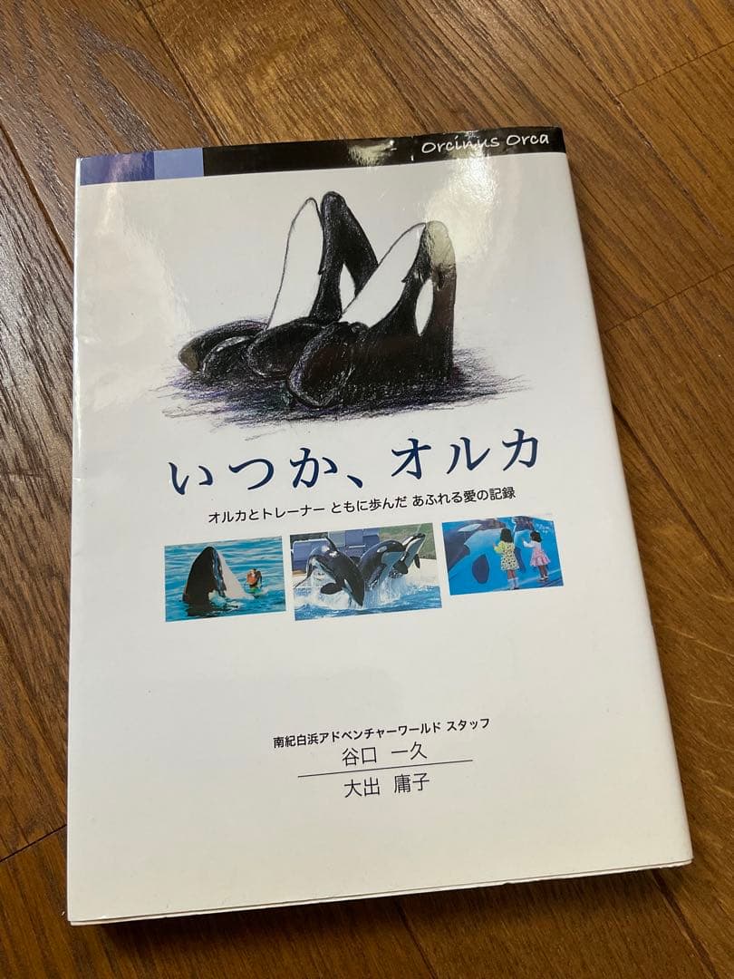 いつか、オルカ - メルカリ