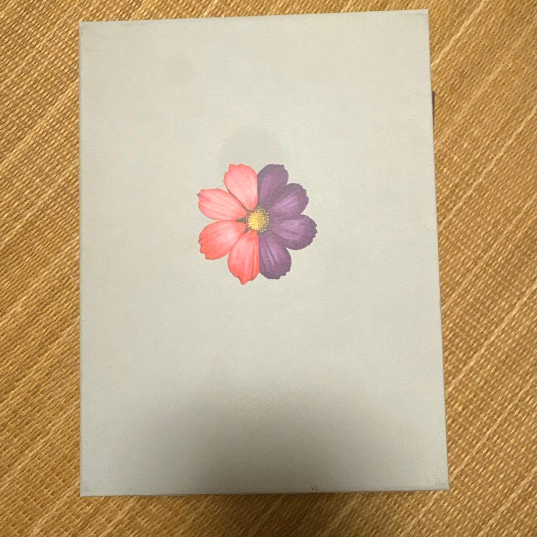 オトメン（乙男）DVD-BOX DVD