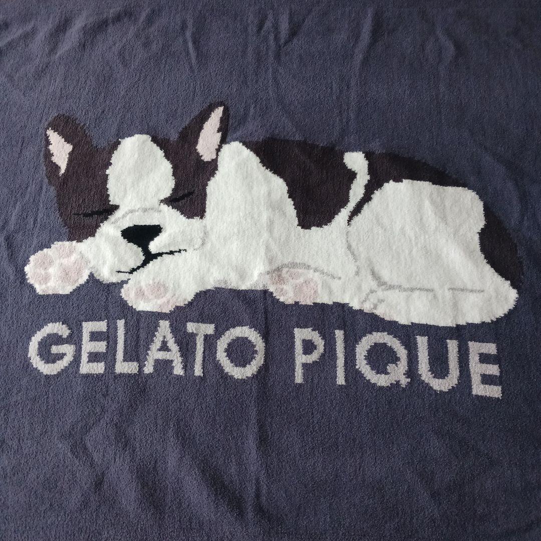 gelato pique　ジェラートピケ　フレンチブルドッグ　ブランケット gelato pique - 正規品♡新品 ジェラートピケ フレンチブルドッグ