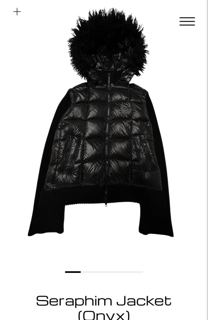 ⭐️希少⭐️】etherealexist フーディ パーカー ダウン ベスト - メルカリ