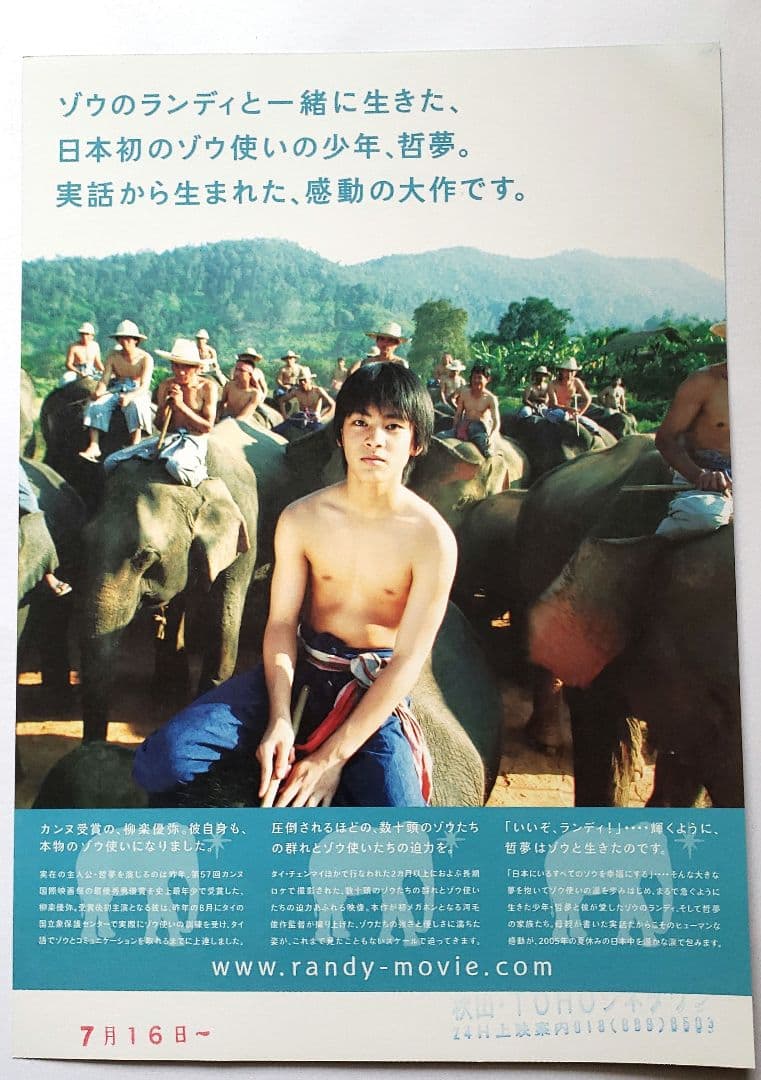 映画チラシ 柳楽優弥さん 5種類 - メルカリ