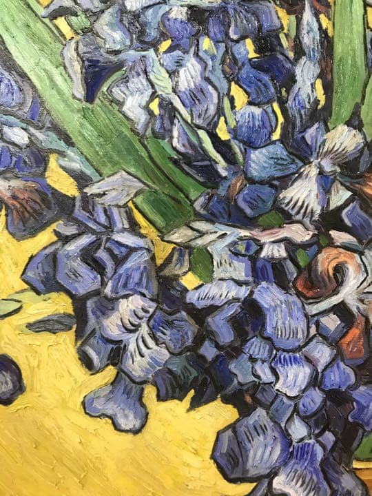 アイリスのある静物[中国のゴッホこと趙小勇作］