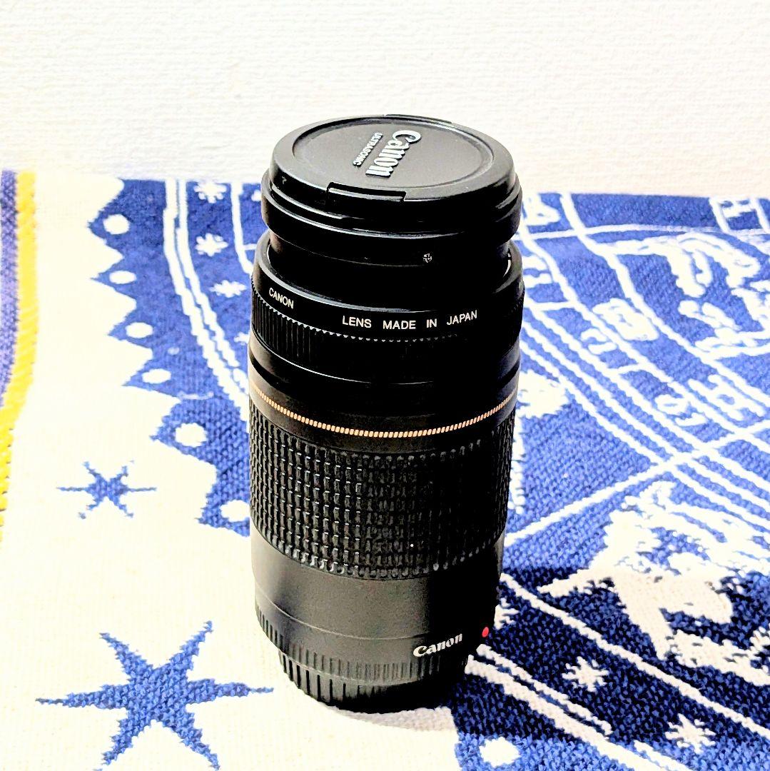 レンズ(ズーム) Canon EF 75-300mm F/4-5.6 II USM