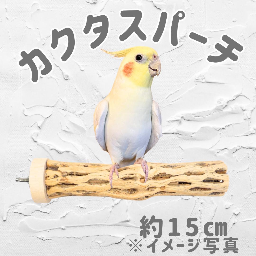 鳥用品 止まり木 カクタス スケルトン パーチ 中細 No.579 - メルカリ