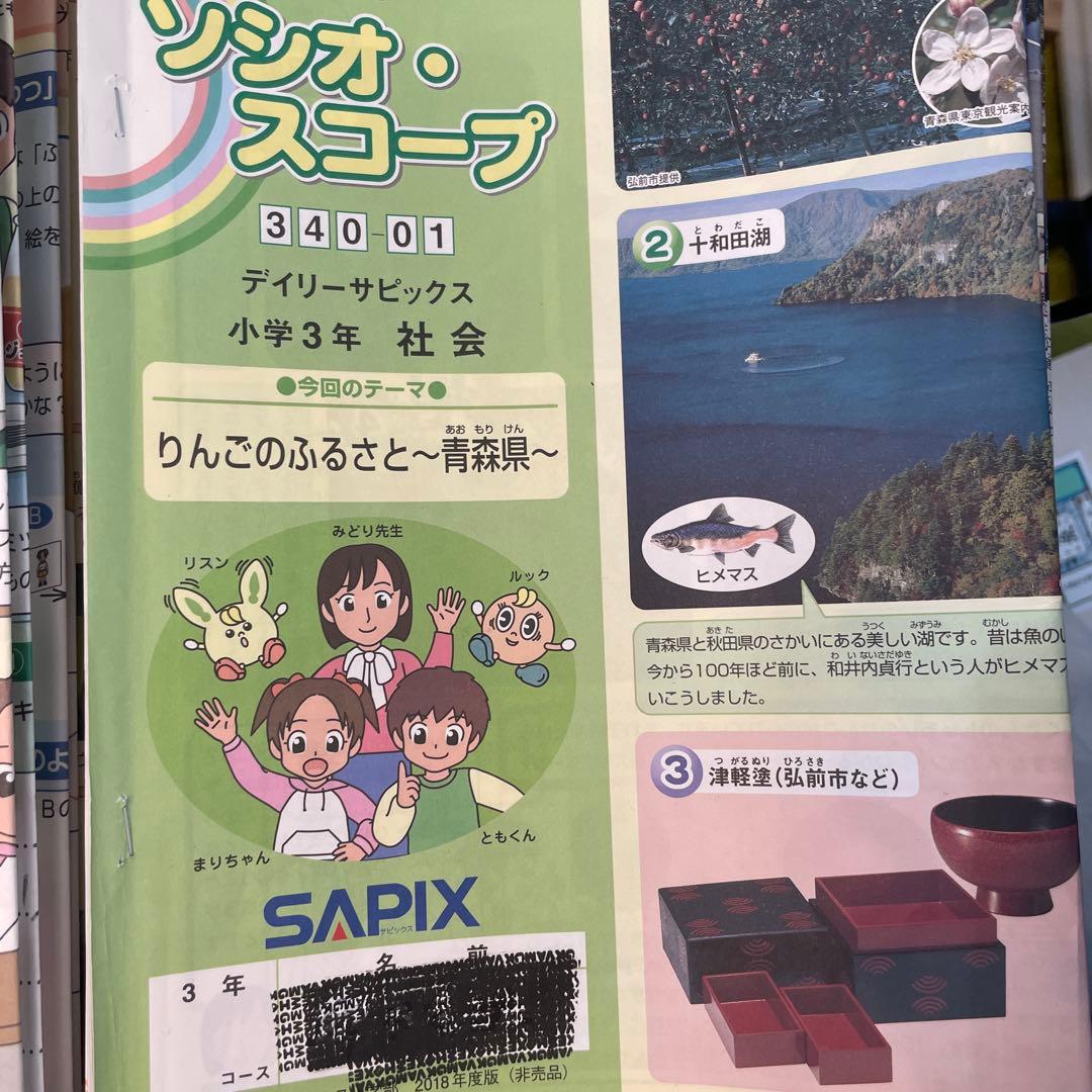 SAPIX 3年 数学 国語 理科 社会 デイリーサピックス 夏期 冬期 講習