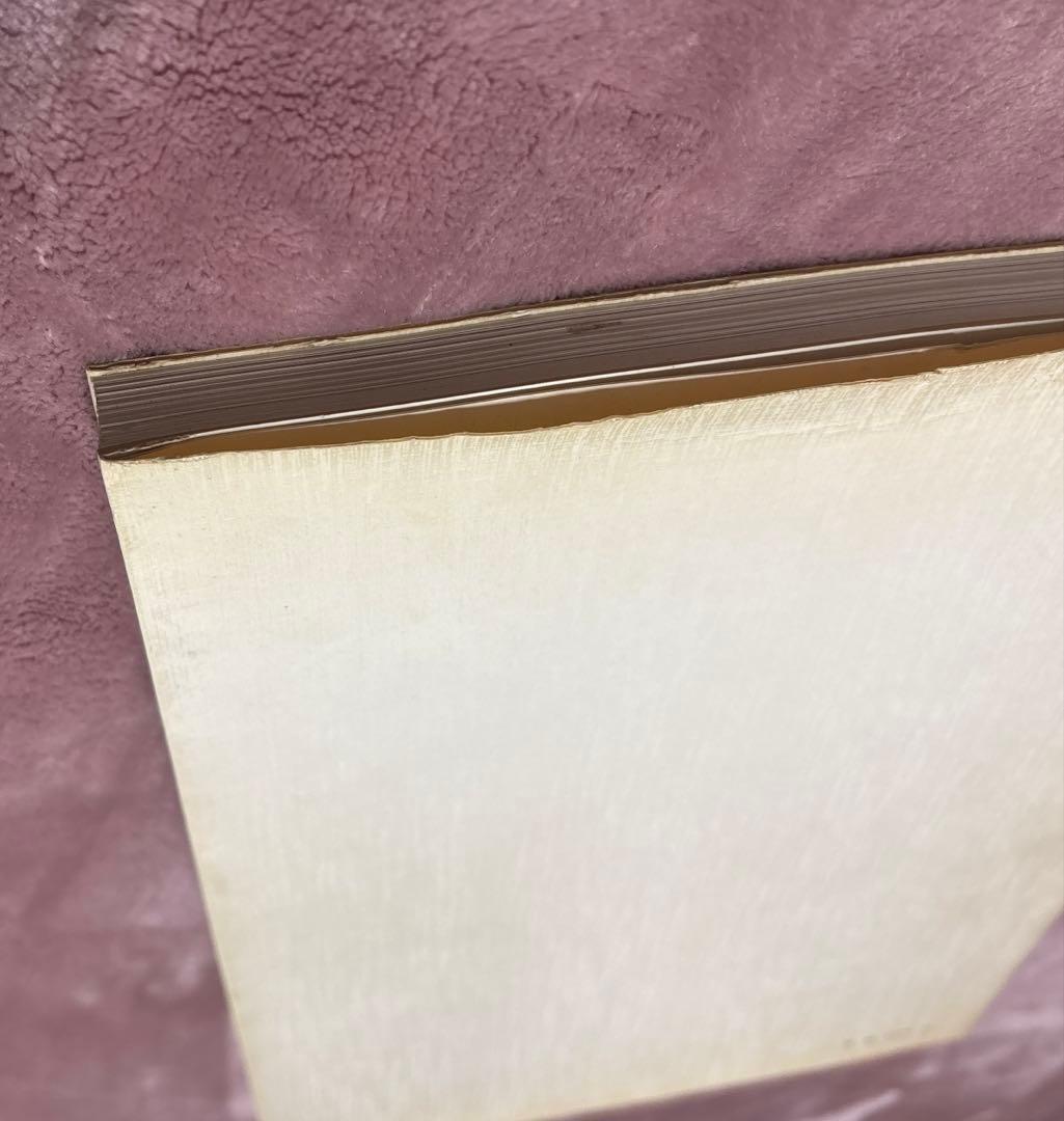 ジブリ　ジ・アートシリーズ　井岡雅宏画集　ナウシカ　紅の豚　千と千尋　5冊セット