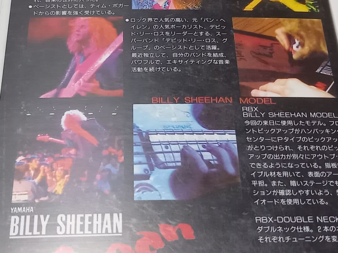 Billy sheehan『in Japan』非売品レアビデオ